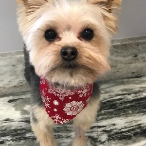 Meet your Posher, Chassidy